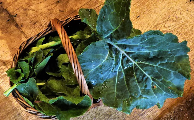 ‘Gatherers’ by Jaime Molina