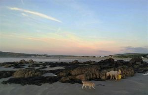 Erik and Mavis on the beach at Poppit sands